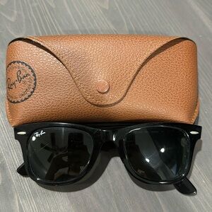 Wayfair Ray Ban Sunglasses